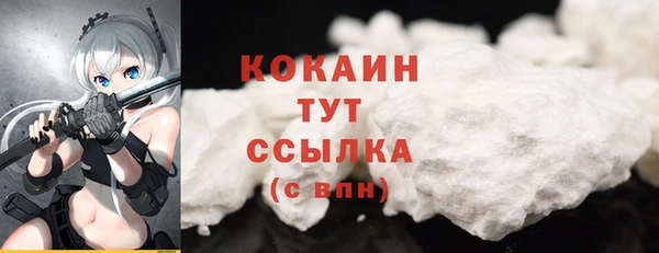 амф Володарск