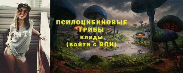 apvp Волоколамск