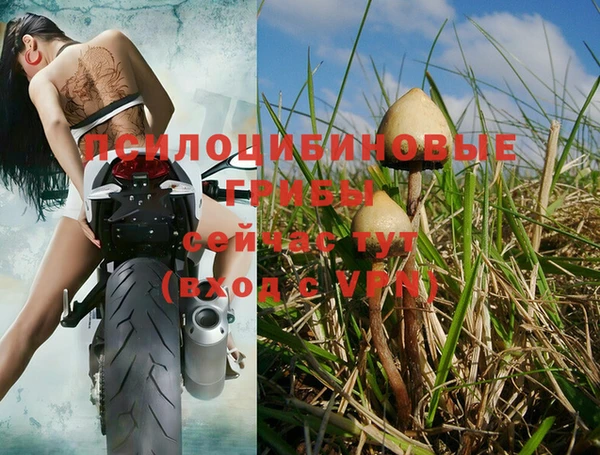 меф Рославль